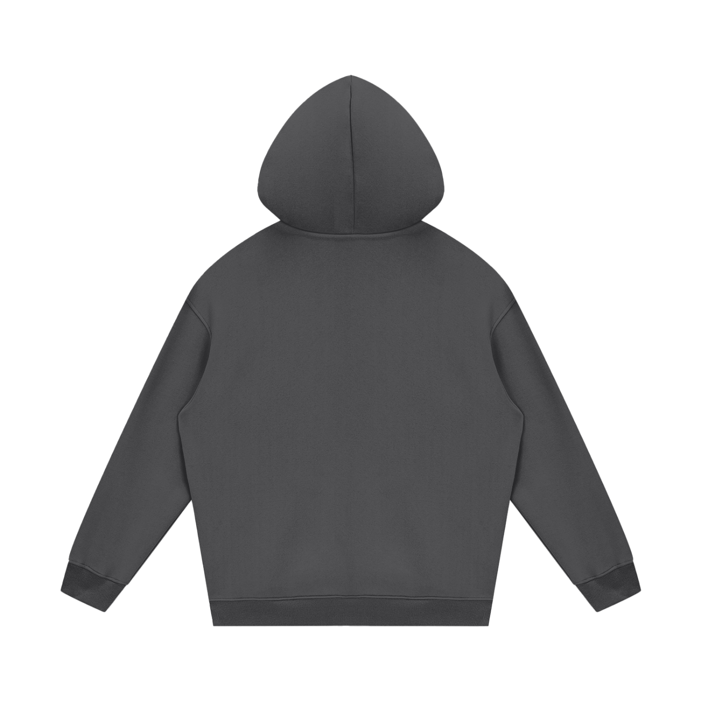 Proj Star Hoodie